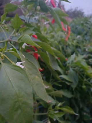 홍순오님의 자유주제 · 자유게시판 작성글 사진