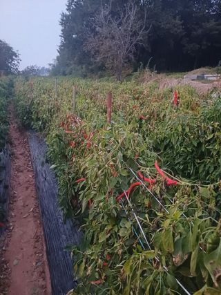 홍순오님의 자유주제 · 자유게시판 작성글 사진