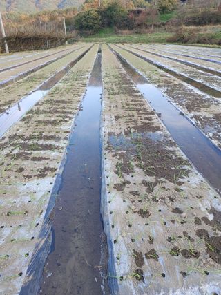 숲속의사나이님의 자유주제 · 자유게시판 작성글 사진