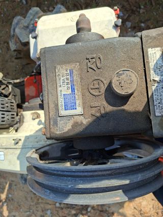 김중언님의 작성글 사진