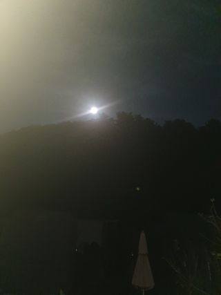 안비님의 자유주제 · 자유게시판 작성글 사진