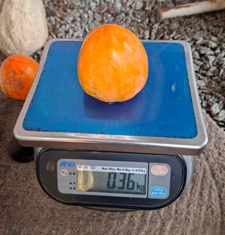 김중언님의 작성글 사진