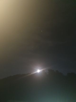 안비님의 자유주제 · 자유게시판 작성글 사진