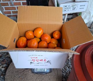 김중언님의 작성글 사진