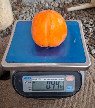 김중언님의 작성글 사진