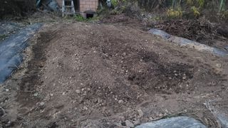 장석오님의 자유주제 · 자유게시판 작성글 사진