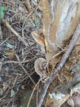 팜모닝 자유주제·자유게시판 게시글 이미지