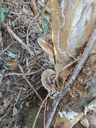 전현문님의 자유주제 · 자유게시판 작성글 사진