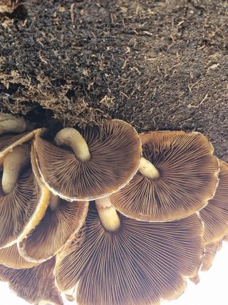 정덕균님의 자유주제 · 자유게시판 작성글 사진