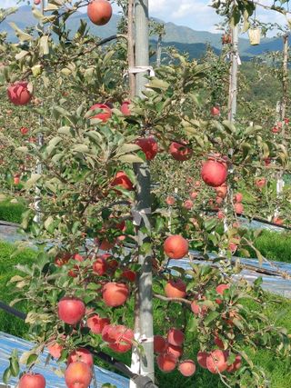 숲속의사나이님의 자유주제 · 자유게시판 작성글 사진