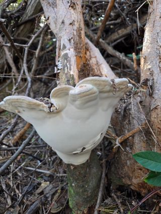 전현문님의 자유주제 · 자유게시판 작성글 사진