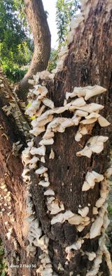 팜모닝 자유주제·자유게시판 게시글 이미지