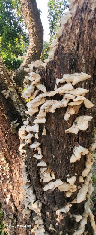 양일봉님의 자유주제 · 자유게시판 작성글 사진