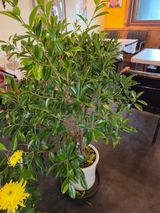 팜모닝 자유주제·자유게시판 게시글 이미지