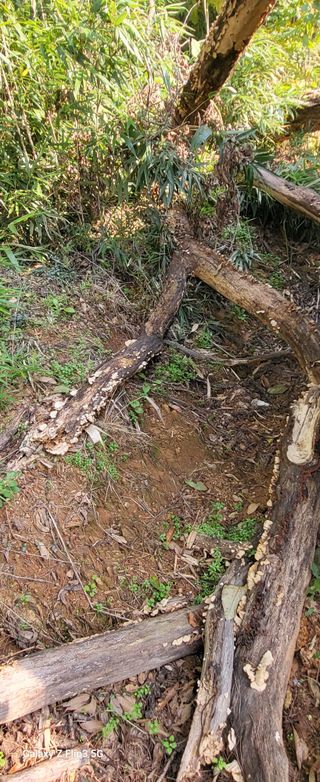 양일봉님의 자유주제 · 자유게시판 작성글 사진