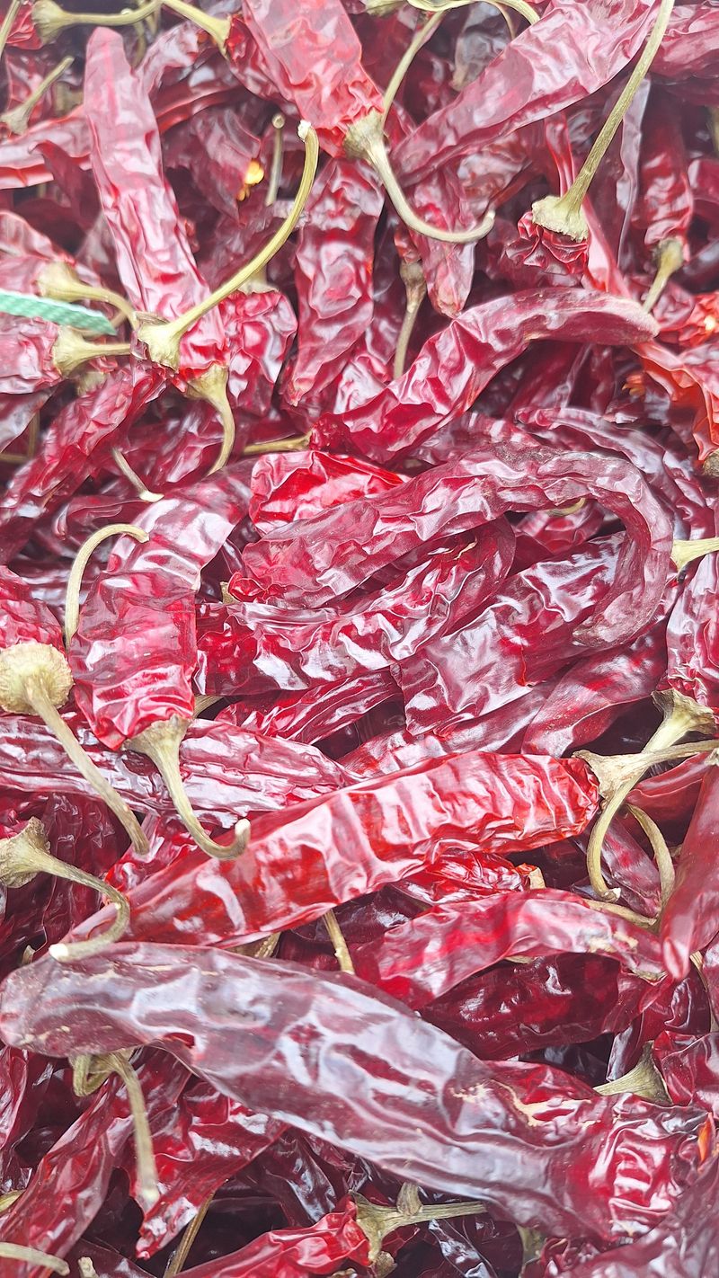 오남현님의 장터 판매 상품 [고추가루 600g] 첨부 사진