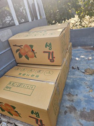 전법님의 자유주제 · 자유게시판 작성글 사진