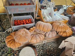 강다흔님의 자유주제 · 자유게시판 작성글 사진