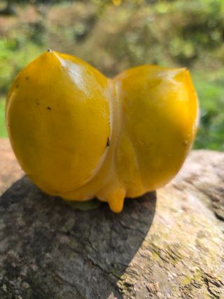 농촌사랑님의 자유주제 · 자유게시판 작성글 사진