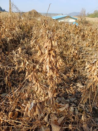 이철우님의 자유주제 · 자유게시판 작성글 사진