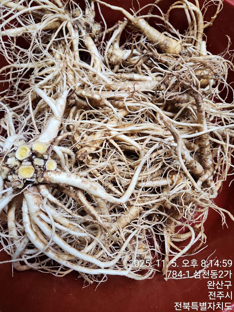 약도라지6018님의 장터 판매 상품 [약도라지 배즙 판매] 첨부 사진