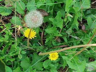 안길원님의 자유주제 · 자유게시판 작성글 사진