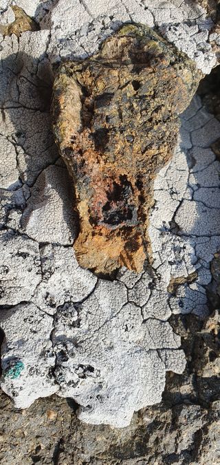 짱뚱이님의 자유주제 · 자유게시판 작성글 사진