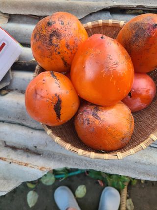 김계희님의 작성글 사진