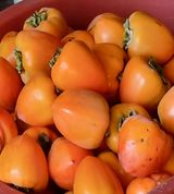 팜모닝 · 게시글 이미지