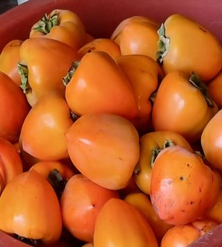 정석범님의 작성글 사진