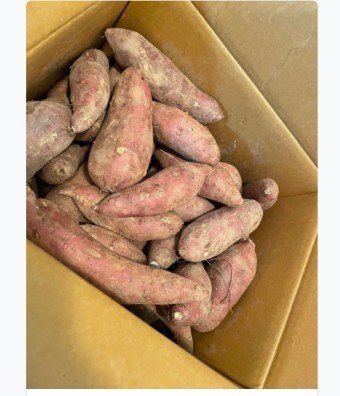 조미숙님의 장터 판매 상품 [호박고구마 5kg] 첨부 사진