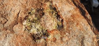 짱뚱이님의 자유주제 · 자유게시판 작성글 사진