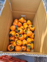 팜모닝 자유주제·자유게시판 게시글 이미지