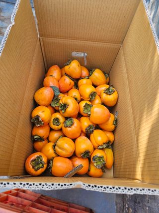 전법님의 자유주제 · 자유게시판 작성글 사진