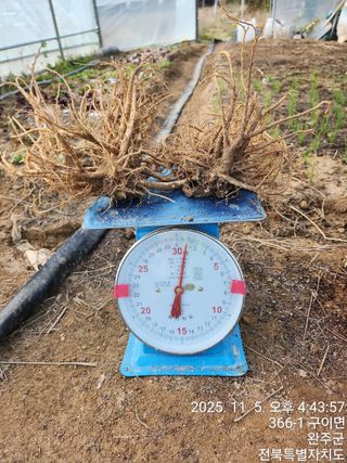 약도라지6018님의 작성글 사진