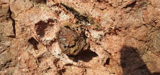 짱뚱이님의 자유주제 · 자유게시판 작성글 사진