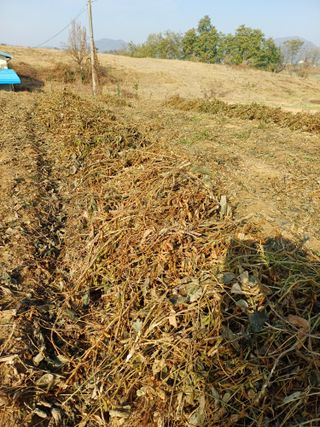 이철우님의 자유주제 · 자유게시판 작성글 사진