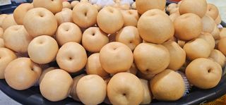 박진오님의 자유주제 · 자유게시판 작성글 사진