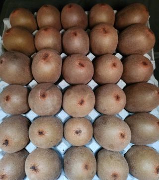 복숭아님의 자유주제 · 자유게시판 작성글 사진