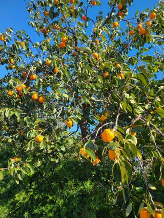 김계희님의 작성글 사진