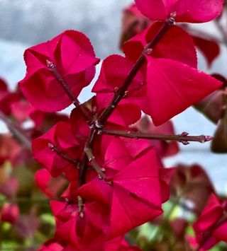 안길원님의 자유주제 · 자유게시판 작성글 사진