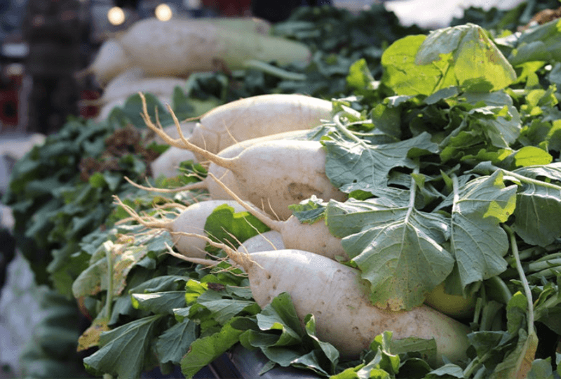 스피드번님의 장터 판매 상품 [강원도 알타리 무] 첨부 사진