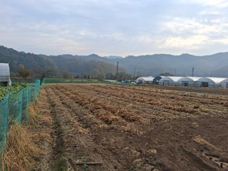 강원도 횡성군님의 자유주제 · 자유게시판 작성글 사진