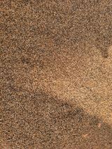 팜모닝 자유주제·자유게시판 게시글 이미지