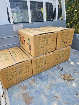 전법님의 자유주제 · 자유게시판 작성글 사진