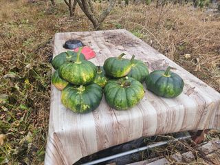 강다흔님의 자유주제 · 자유게시판 작성글 사진