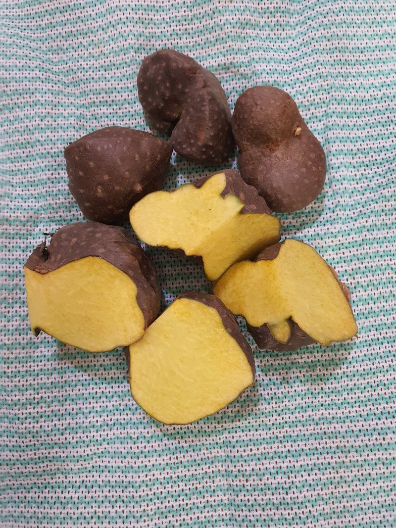 매기소골농장님의 장터 판매 상품 [열매마 (하늘마)3kg] 첨부 사진