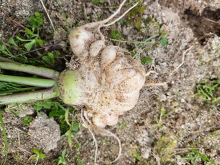 김용석님의 자유주제 · 자유게시판 작성글 사진