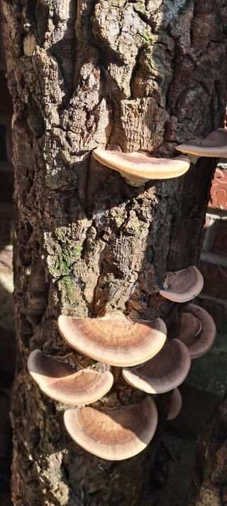 정재용님의 자유주제 · 사진전 작성글 사진