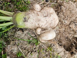 김용석님의 자유주제 · 자유게시판 작성글 사진